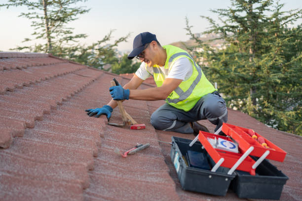 Roof Gutter Cleaning in Farwell, TX
